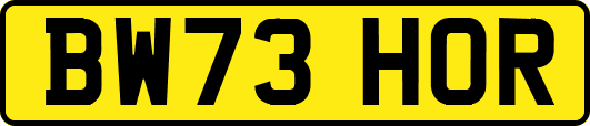 BW73HOR