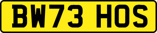 BW73HOS