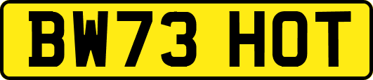 BW73HOT