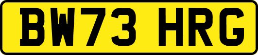 BW73HRG
