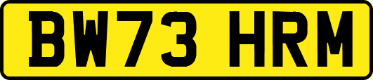 BW73HRM