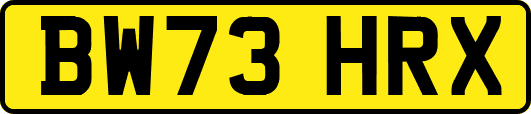 BW73HRX