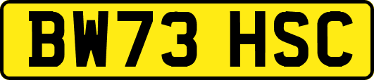 BW73HSC