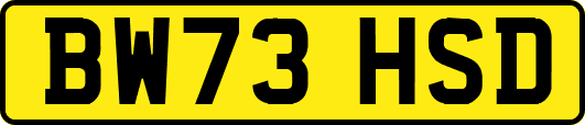 BW73HSD