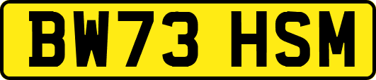 BW73HSM