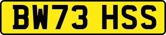 BW73HSS