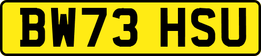 BW73HSU