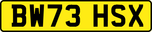 BW73HSX