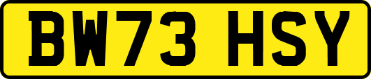 BW73HSY