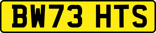 BW73HTS