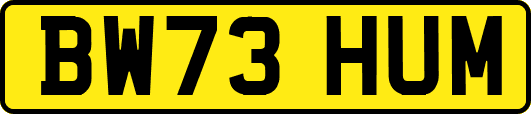BW73HUM