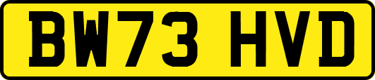 BW73HVD