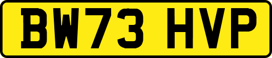 BW73HVP