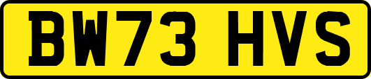 BW73HVS