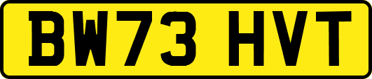 BW73HVT