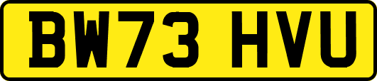 BW73HVU