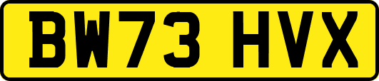BW73HVX