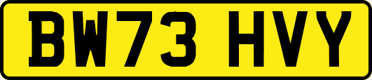 BW73HVY