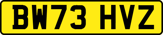 BW73HVZ