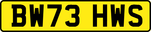 BW73HWS