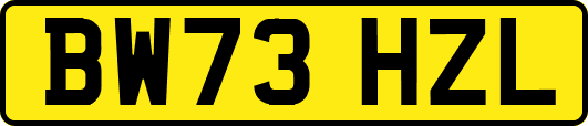 BW73HZL