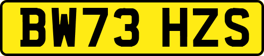 BW73HZS