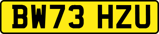BW73HZU