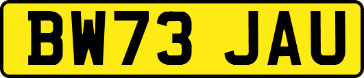 BW73JAU
