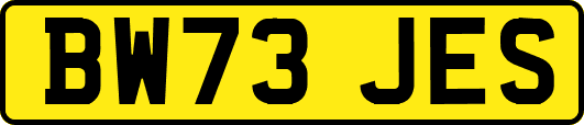BW73JES