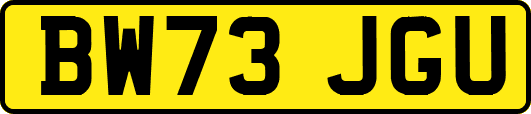 BW73JGU