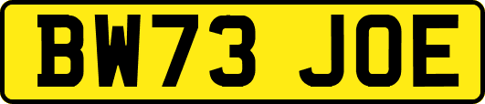 BW73JOE