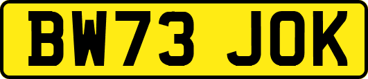 BW73JOK
