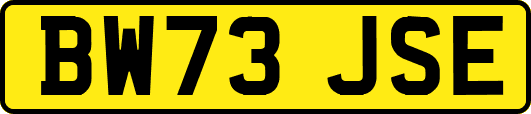 BW73JSE