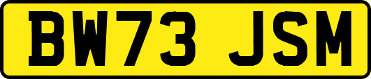 BW73JSM