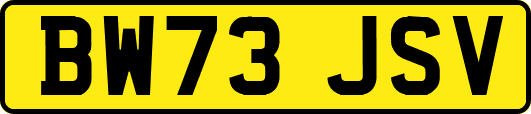 BW73JSV