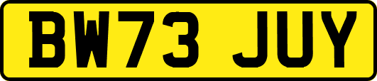 BW73JUY