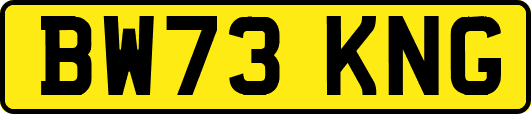 BW73KNG