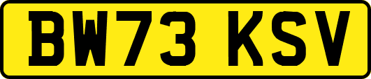 BW73KSV