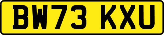 BW73KXU