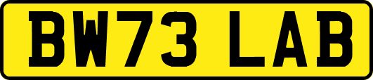 BW73LAB