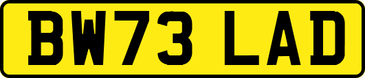 BW73LAD