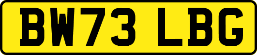 BW73LBG