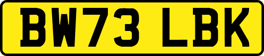 BW73LBK