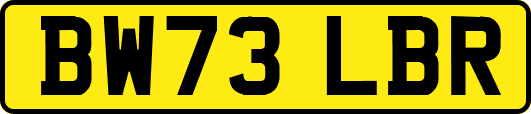 BW73LBR