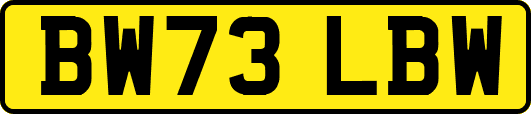 BW73LBW