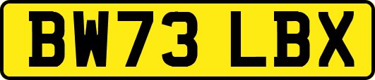 BW73LBX