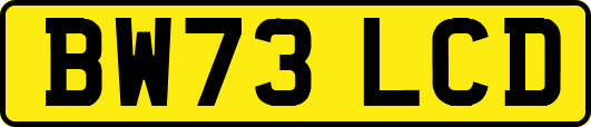 BW73LCD