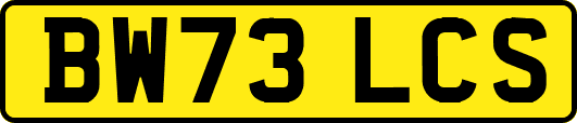 BW73LCS