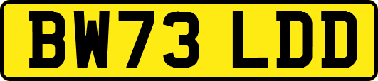 BW73LDD