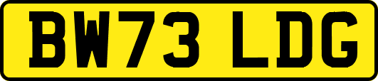 BW73LDG